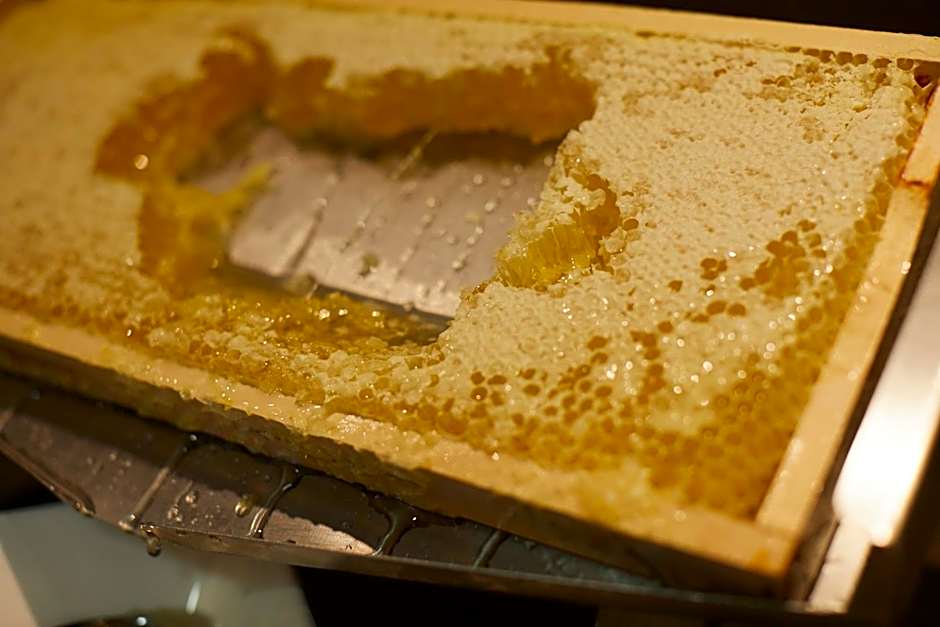 Hotel Mirabell by Maier Privathotels