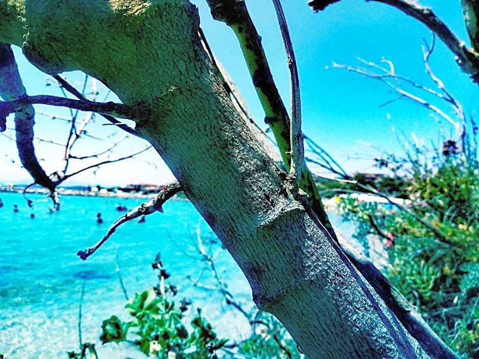 Le stanze del mare
