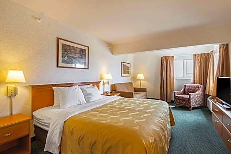 1 King Bed, Suite, Nonsmoking, Upgrade