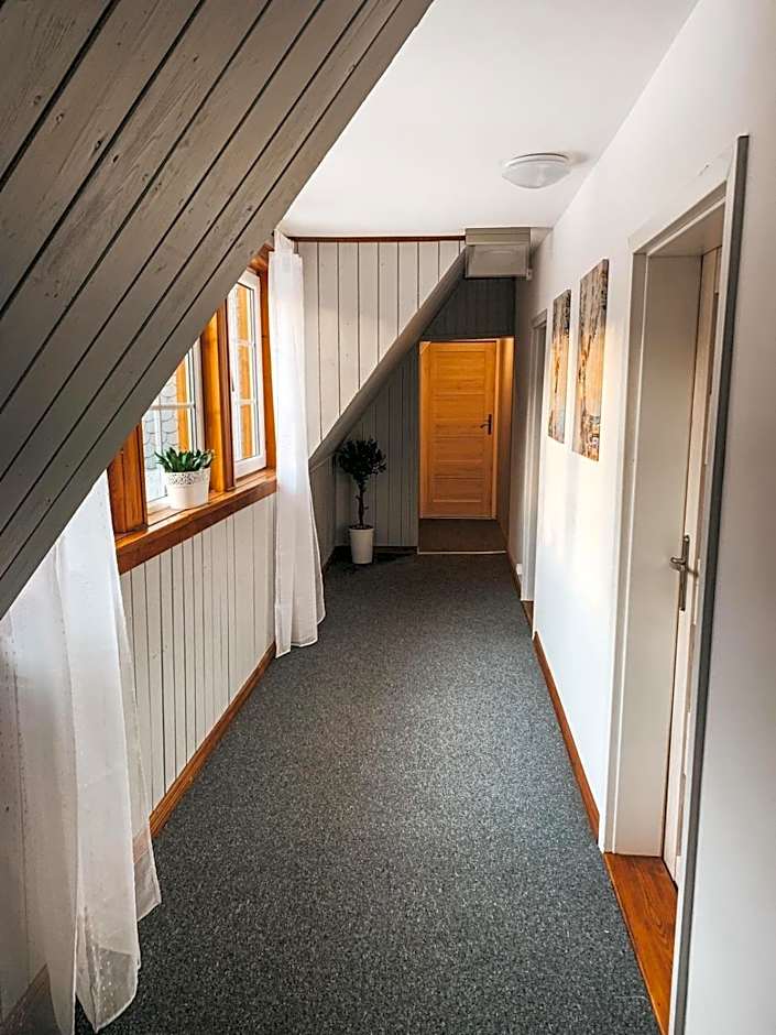 Leśny Zakątek Borkowo