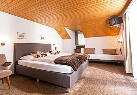 Single Room with Balcony