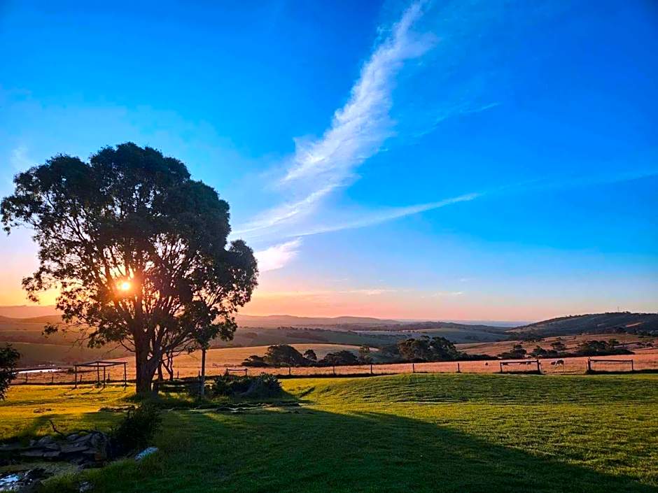 Lush Pastures