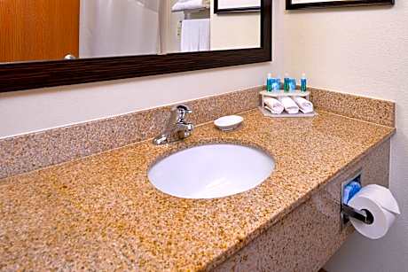 1 King Suite Sofa Bed