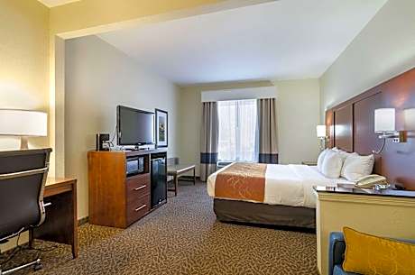 1 King Bed Suite Nonsmoking Accessible