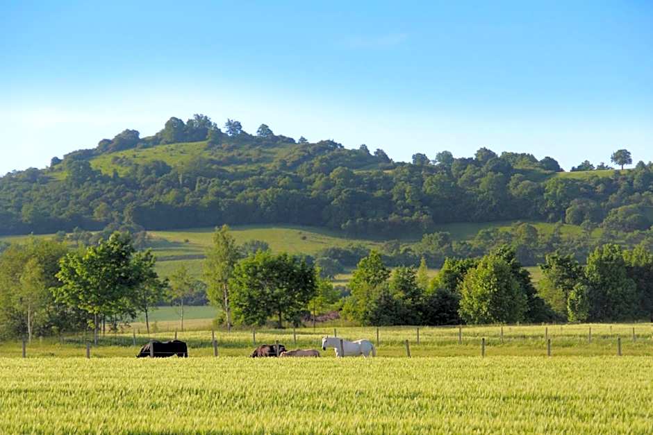 Rotes Ross Marktbergel