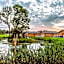 Flaxton Meadows Luxury Lodges