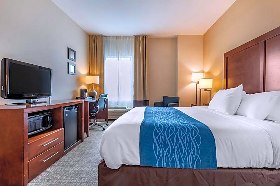 Comfort Inn Apalachin / Binghamton W Route 17