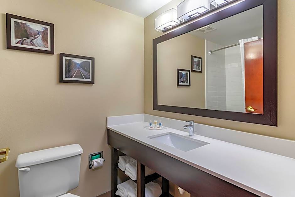 Comfort Suites near Robins Air Force Base