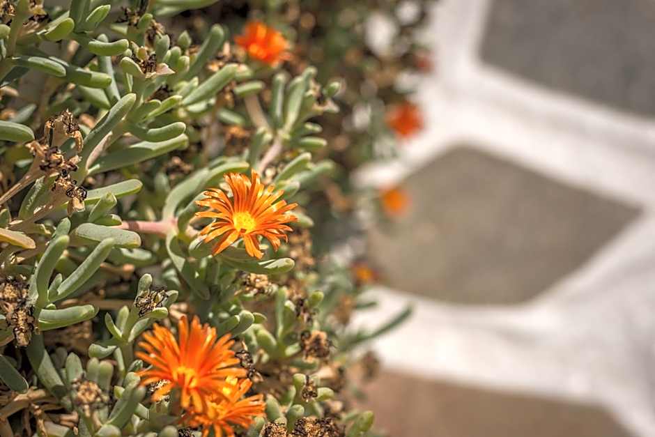 Thalassitra Village Hotel