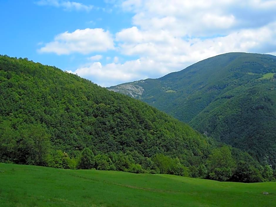 Appartamento il Bosco