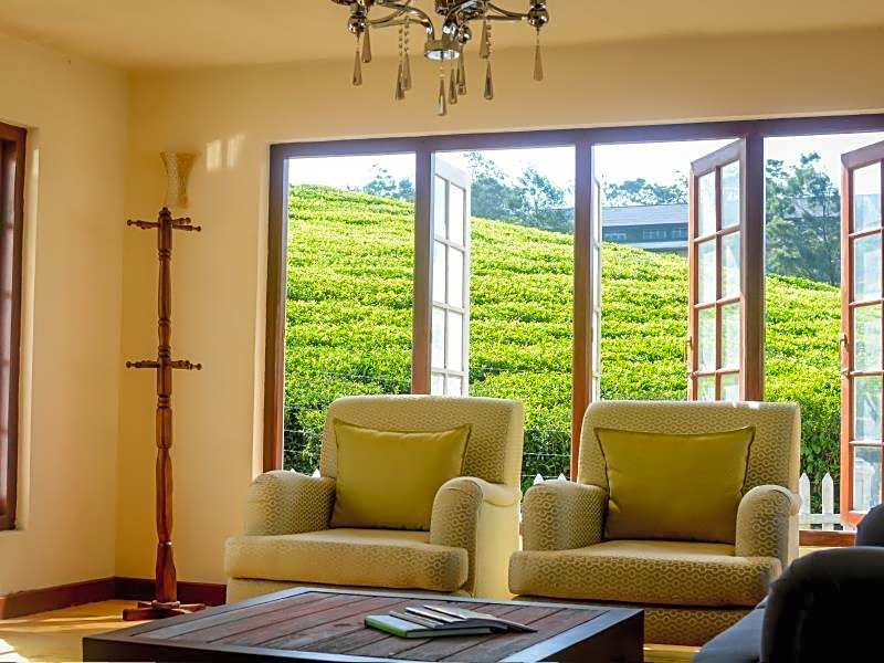 Villa Tea Fields - Free Breakfast, Near Lake Gregory