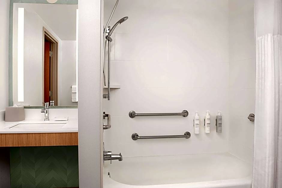 Photo 1 of 7 of Hearing/Mobility Accessible, Bathtub