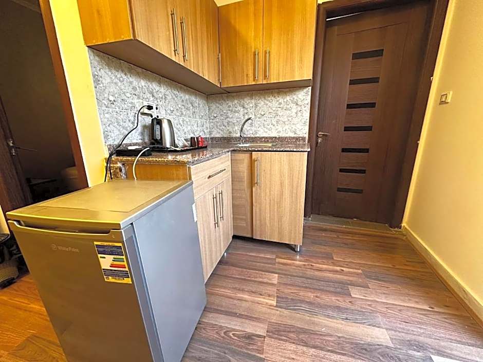 Narmer Pyramids View