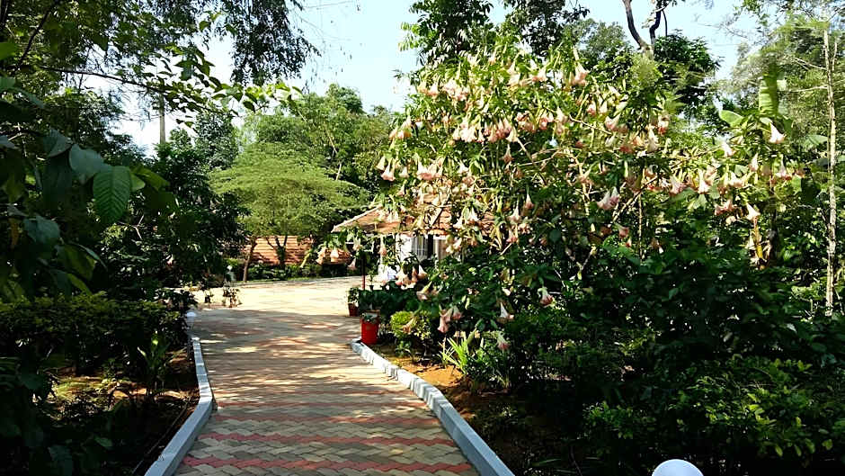 Whispering Woods Coorg