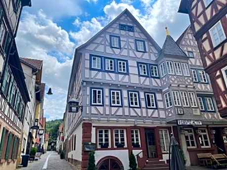 Hotel Schwanen