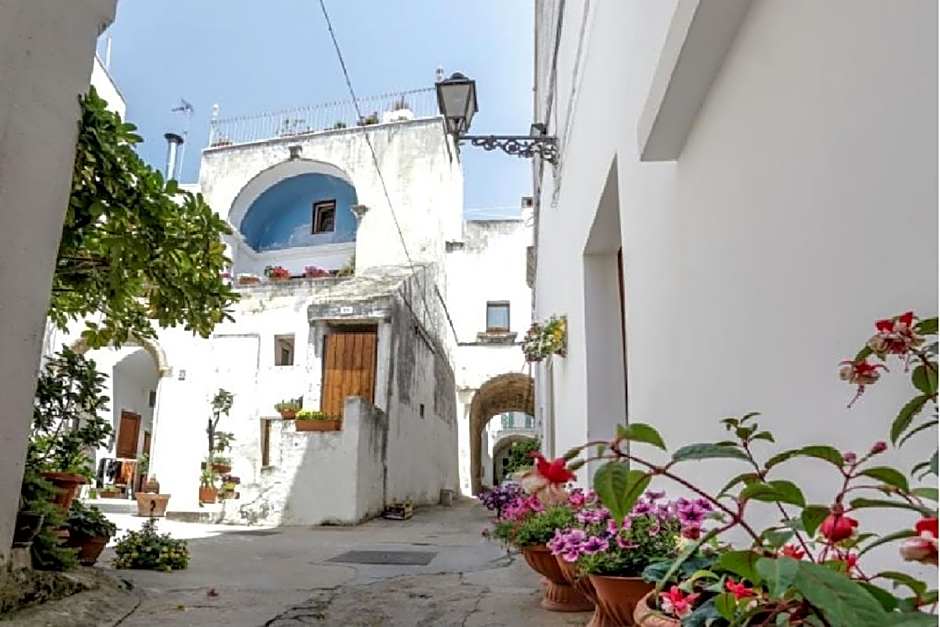 Le Finestre Su Porta Carrese - Luxury Rooms