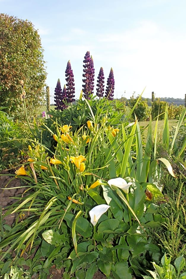 Chambre D'hotes Le Clos Fleuri