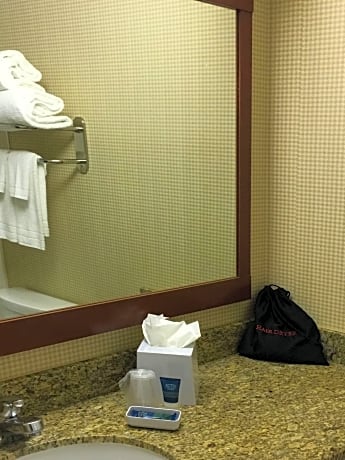 Deluxe Room, 1 King Bed, Patio