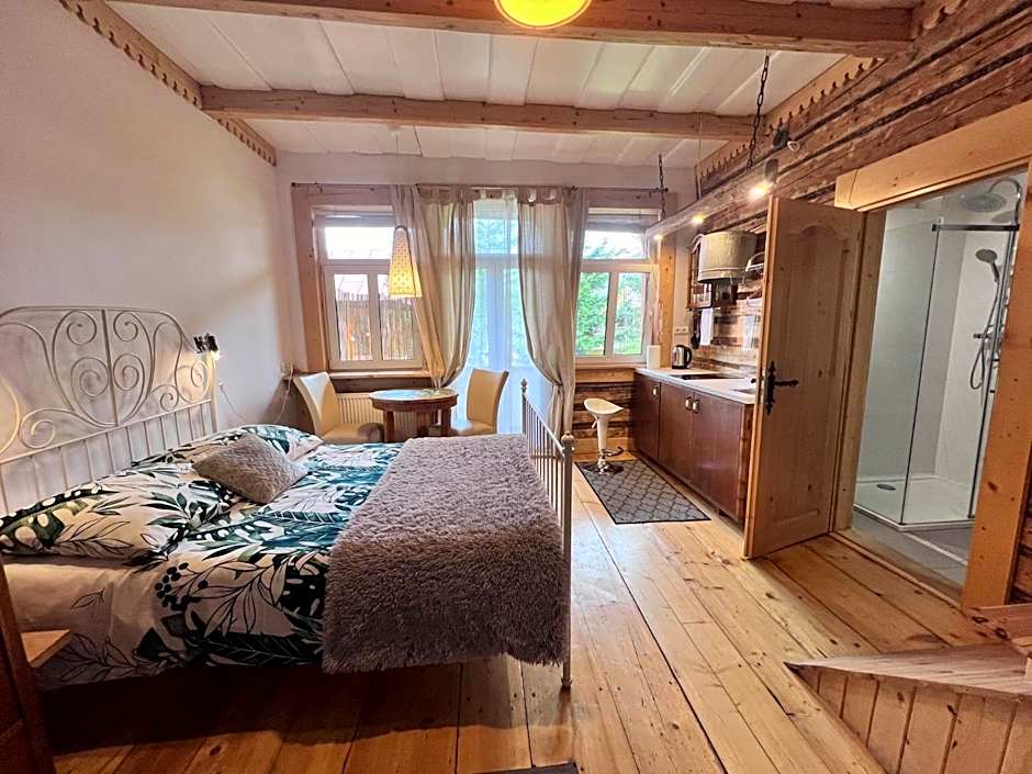 Willa Jasna Apartamenty centrum Zakopane