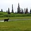 Caribou Lodge Alaska