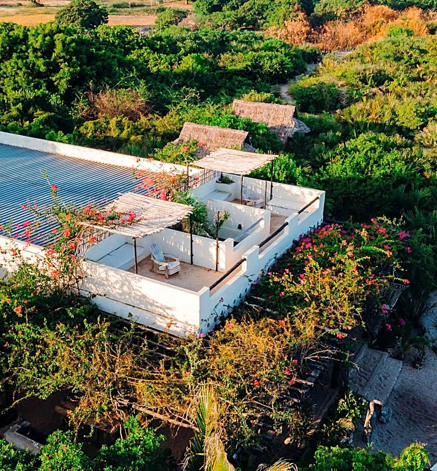 The Slow Leopard Kilwa