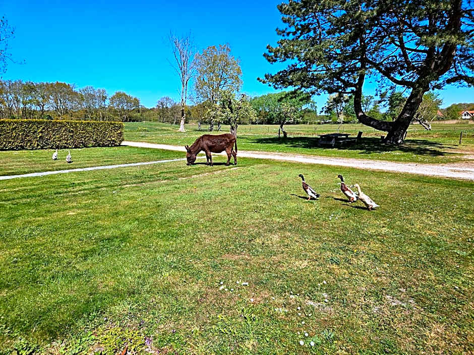 Little Creek - Lodges in het natuurgebied