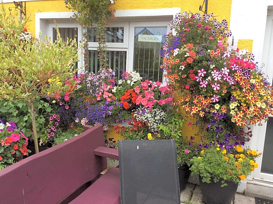 Globe Guesthouse