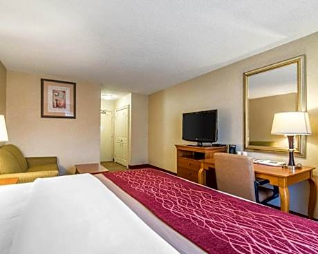 King Room - Non-Smoking