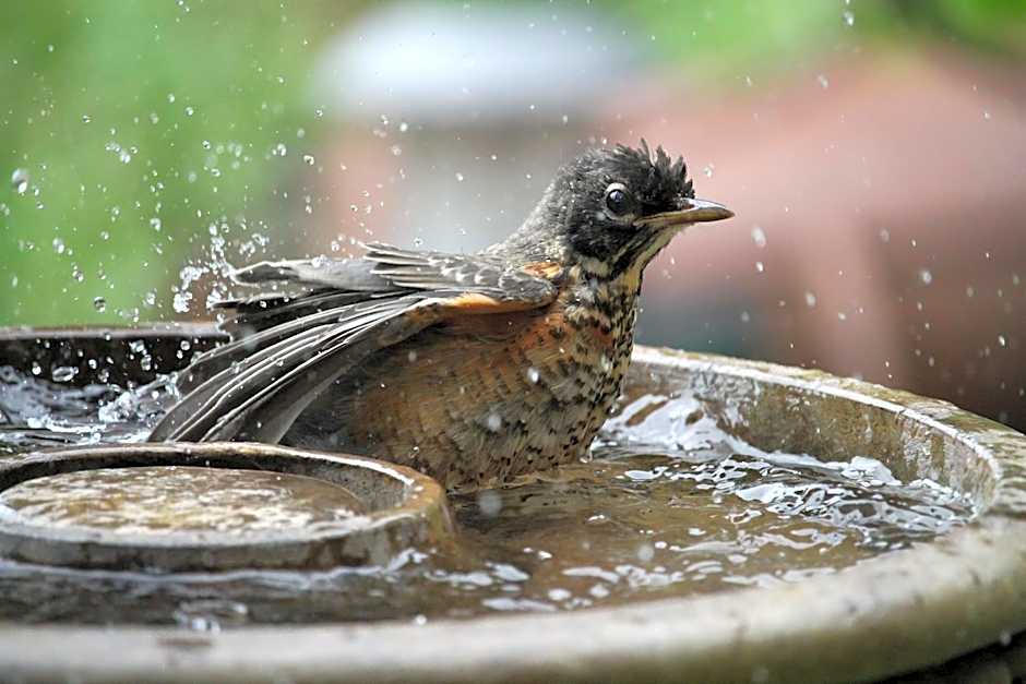 A Suite Retreat - Beyond Bed & Breakfast