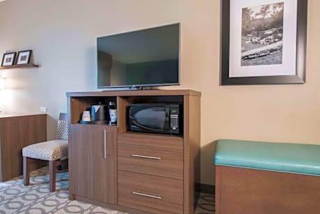 1 King Bed With Sofabed