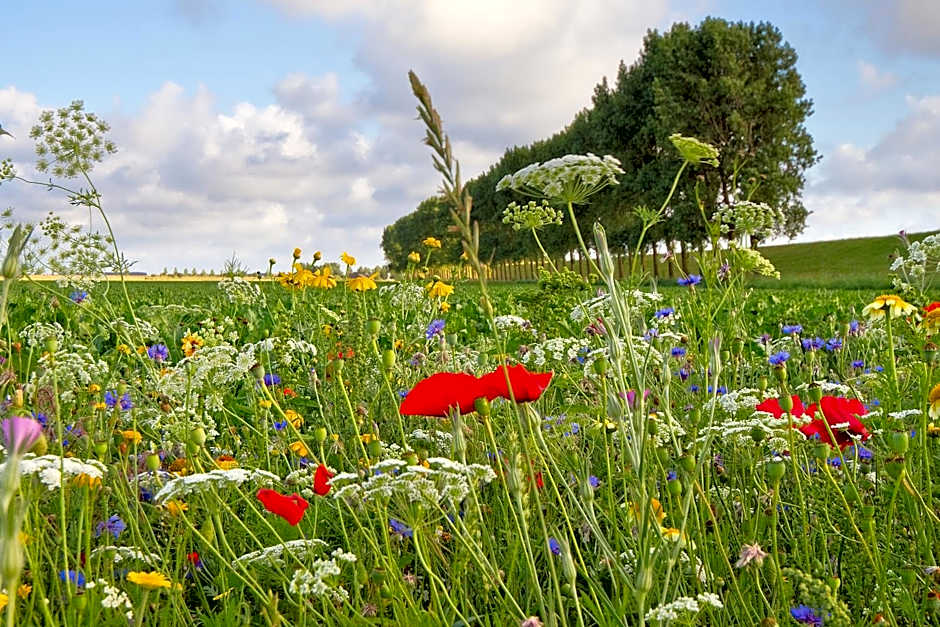 Hotel Mijdrecht Marickenland