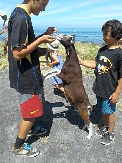 Waimeha Camping Village