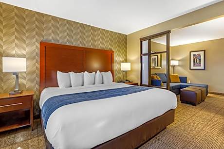 King Suite - Accessible/Non-Smoking