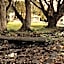 Amadiya Port Arthur Villas