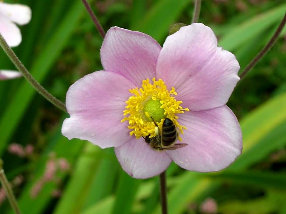 Le Brame - Chambres d&#x27;Hôtes