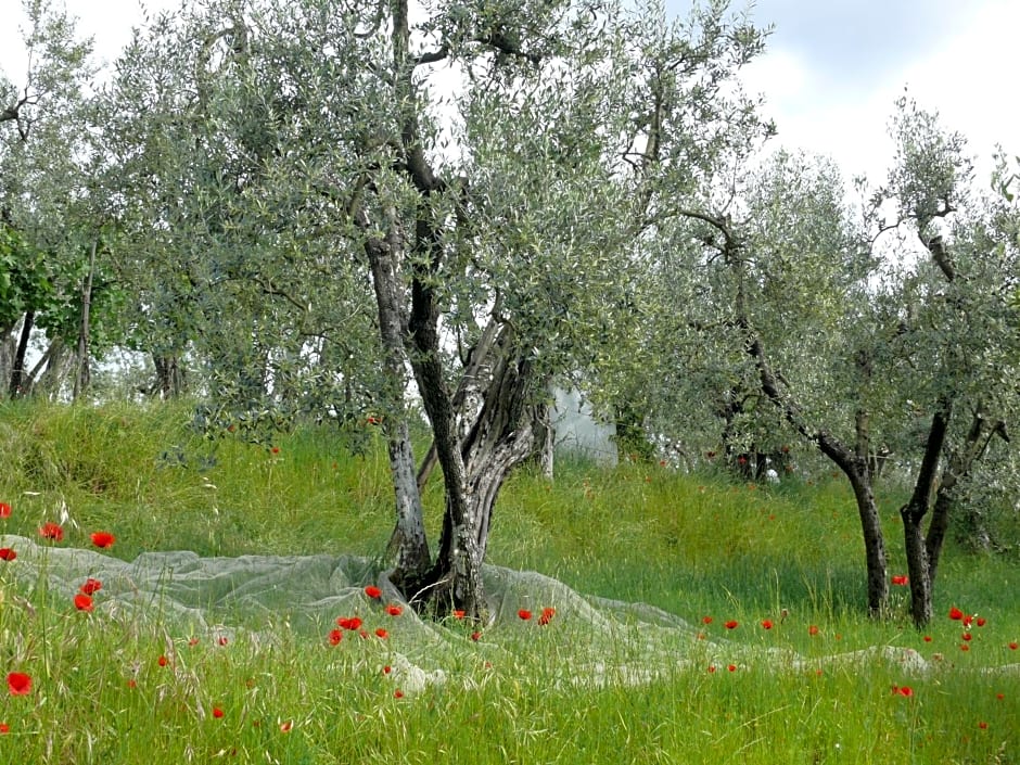 Antica Bottega di Vinci