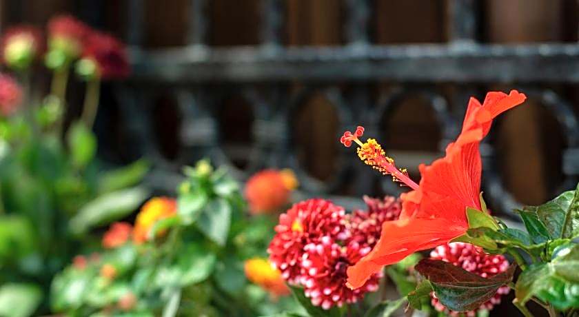 Flores Hotel Alaçatı