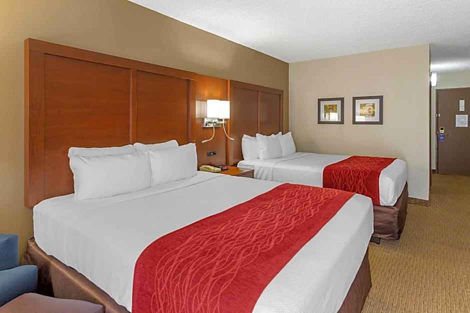 Comfort Inn & Suites Rochelle - DeKalb