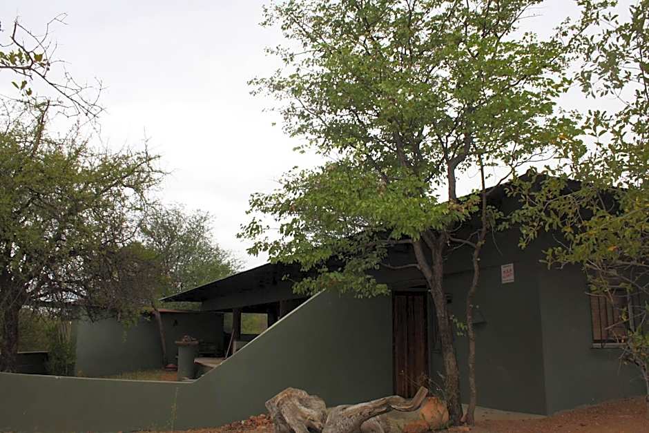Tingala Lodge - Bed in the Bush