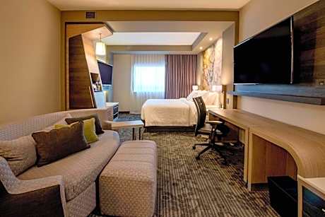 Larger Guest room, 1 King, Sofa bed