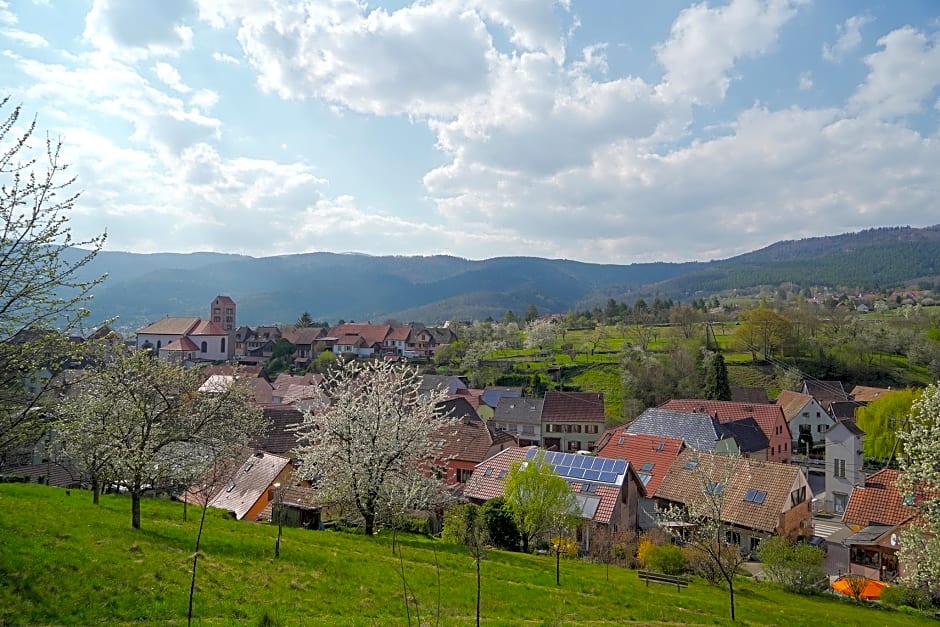 Le Domaine du Verger gîtes et SPA