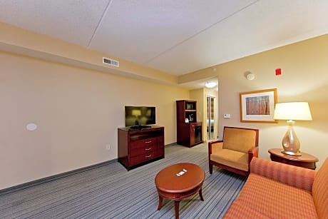 1 King Bed Junior Suite With Sofabed