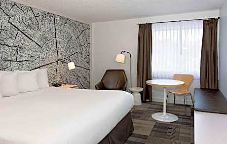 Coast Premium King Room with View