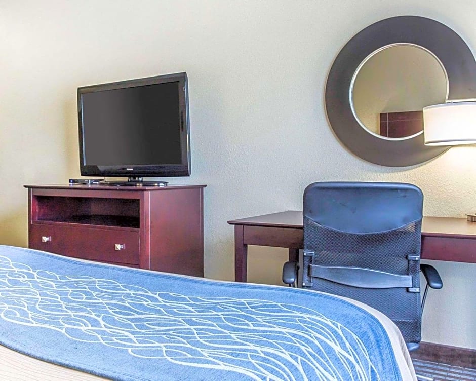 Comfort Inn & Suites Hotel, Smyrna
