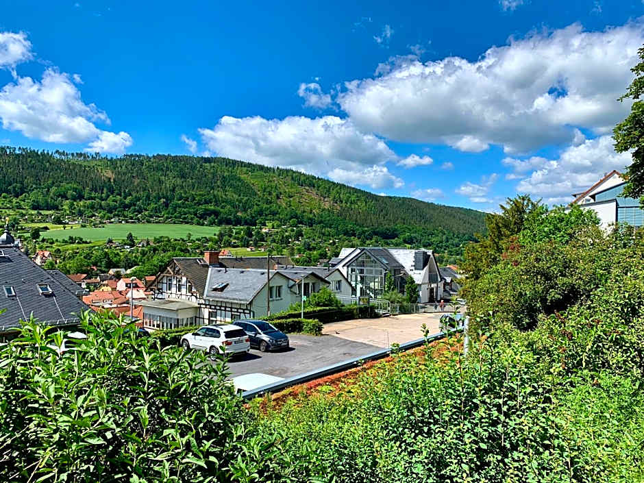 Villa Frieden Hotel & Seminarhaus