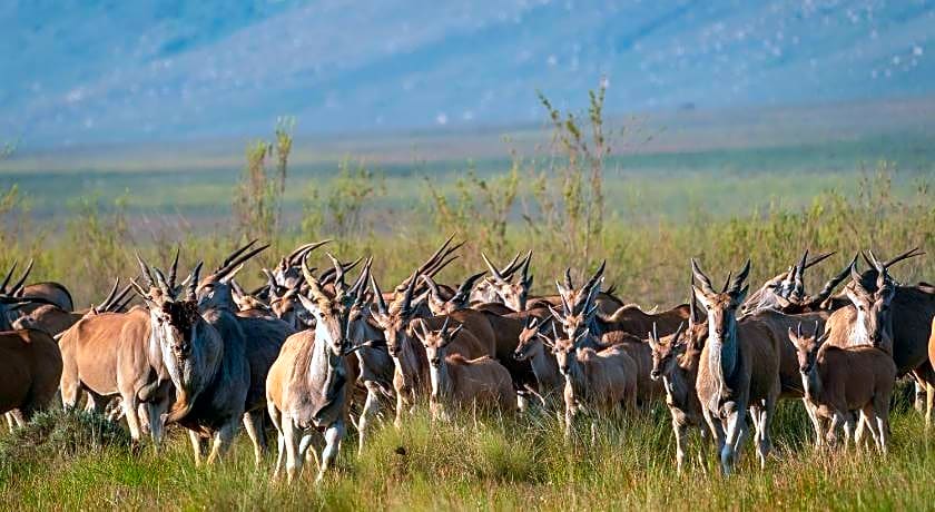 Bartholomeus Klip Farmhouse