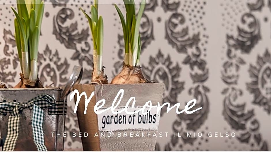 Bed & Breakfast Il mio Gelso