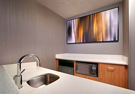 Suite, 1 Bedroom (1 Double Bed)