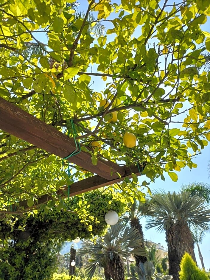 Tettoeletto Garden Bio