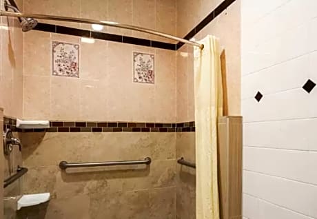 1 Queen Bed, Nonsmoking, Accessible